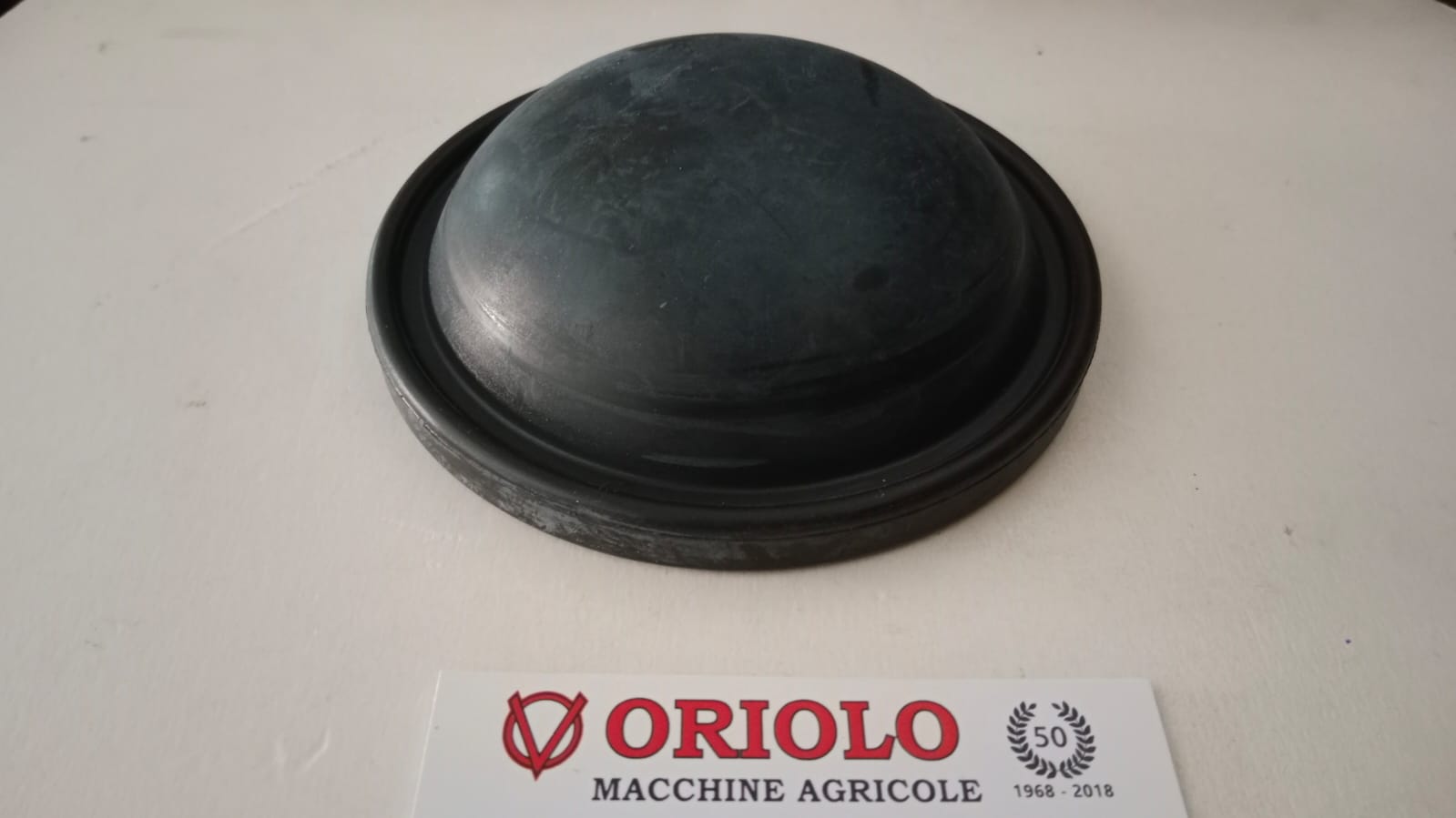 MEMBRANA PER POMPA IDRO. BERT. DIAM EST 113 mm